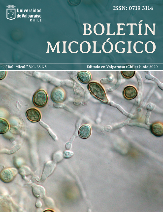 					View Vol. 35 No. 1 (2020)
				